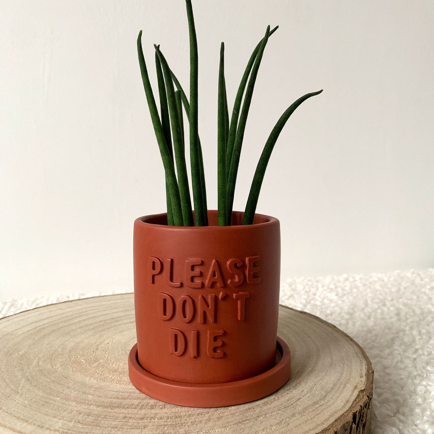 Cache-pot avec soucoupe fait à la main Iris "Please don't Die" Terracotta