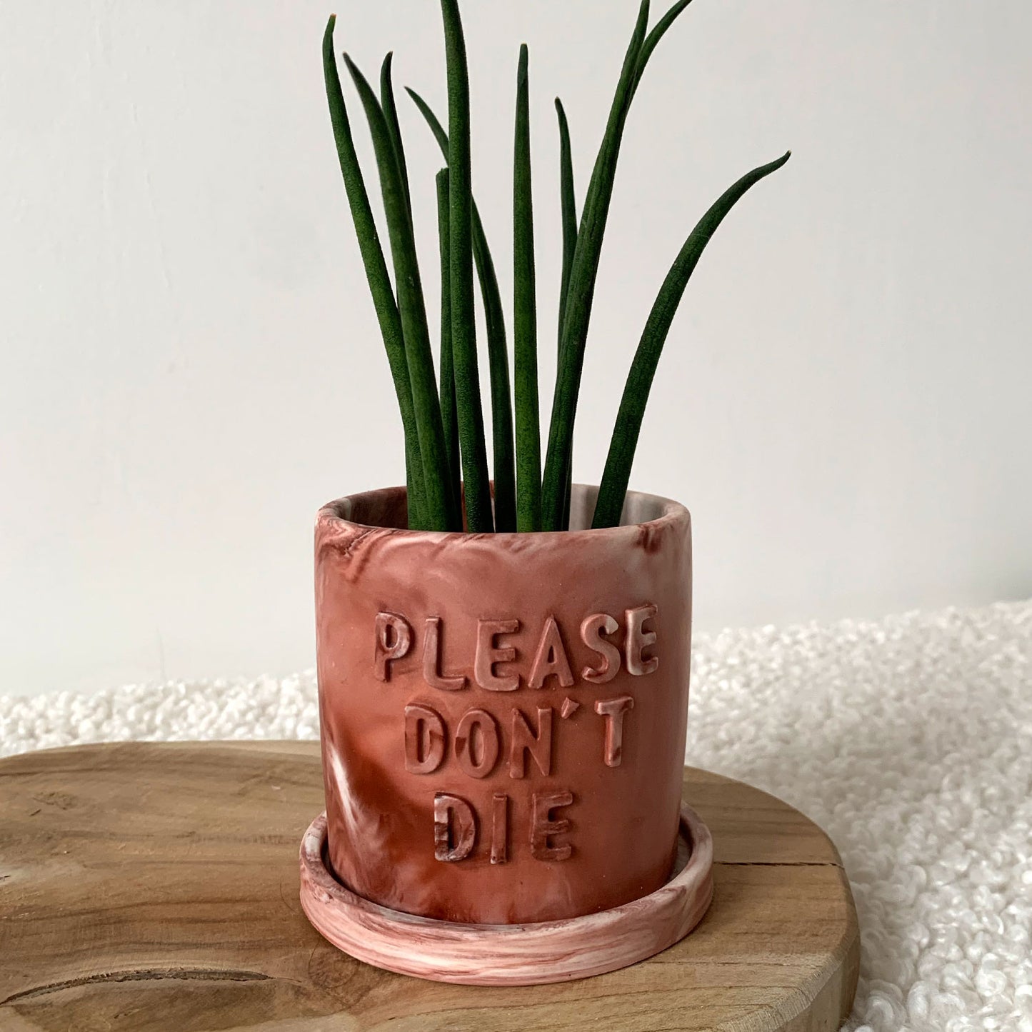 Cache-pot marbré "Please don't Die" fait à la main en jesmonite Iris rose et rouge