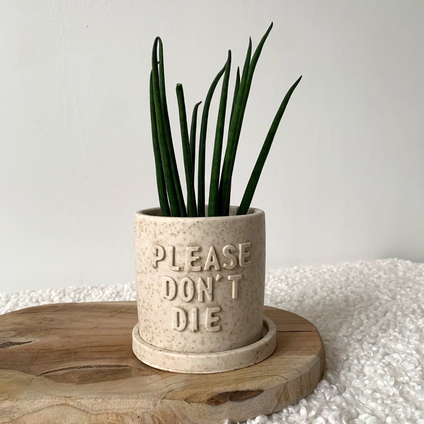 Cache-pot beige moucheté fait main avec soucoupe "Please don't Die" Iris