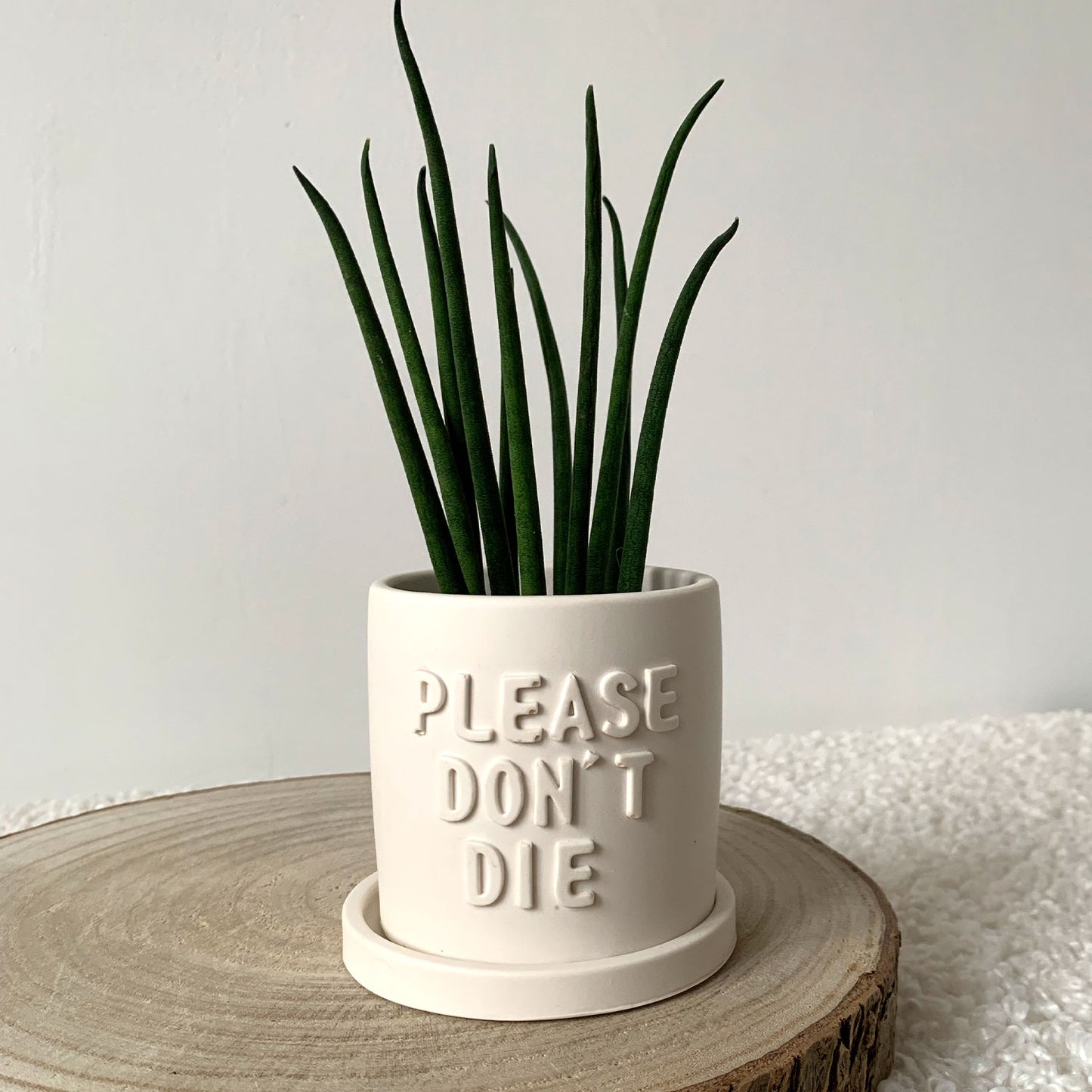 Cache-pot avec soucoupe fait à la main Iris "Please don't Die" Blanc