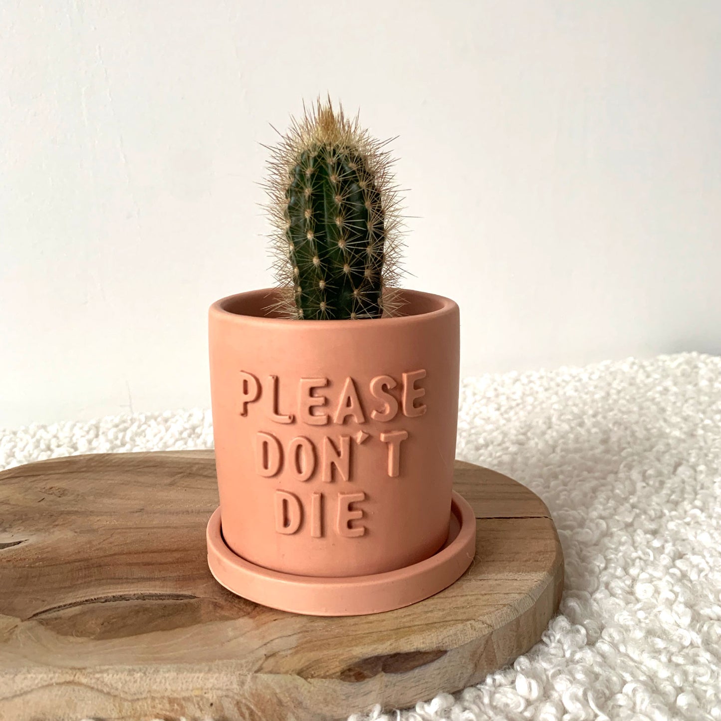 Cache-pot "Please don't Die" fait main jesmonite avec soucoupe Iris Rose clair