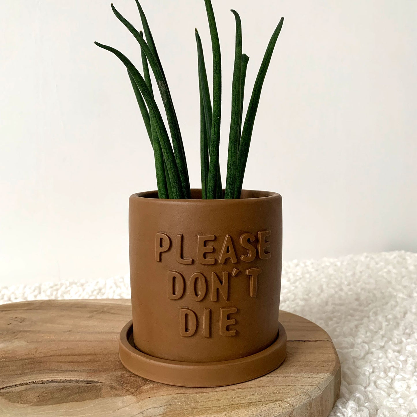 Cache-pot jesmonite "Please don't Die" Iris avec soucoupe Marron