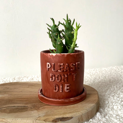 Cache-pot terracotta marbre fait à la main Iris "Please don't Die"