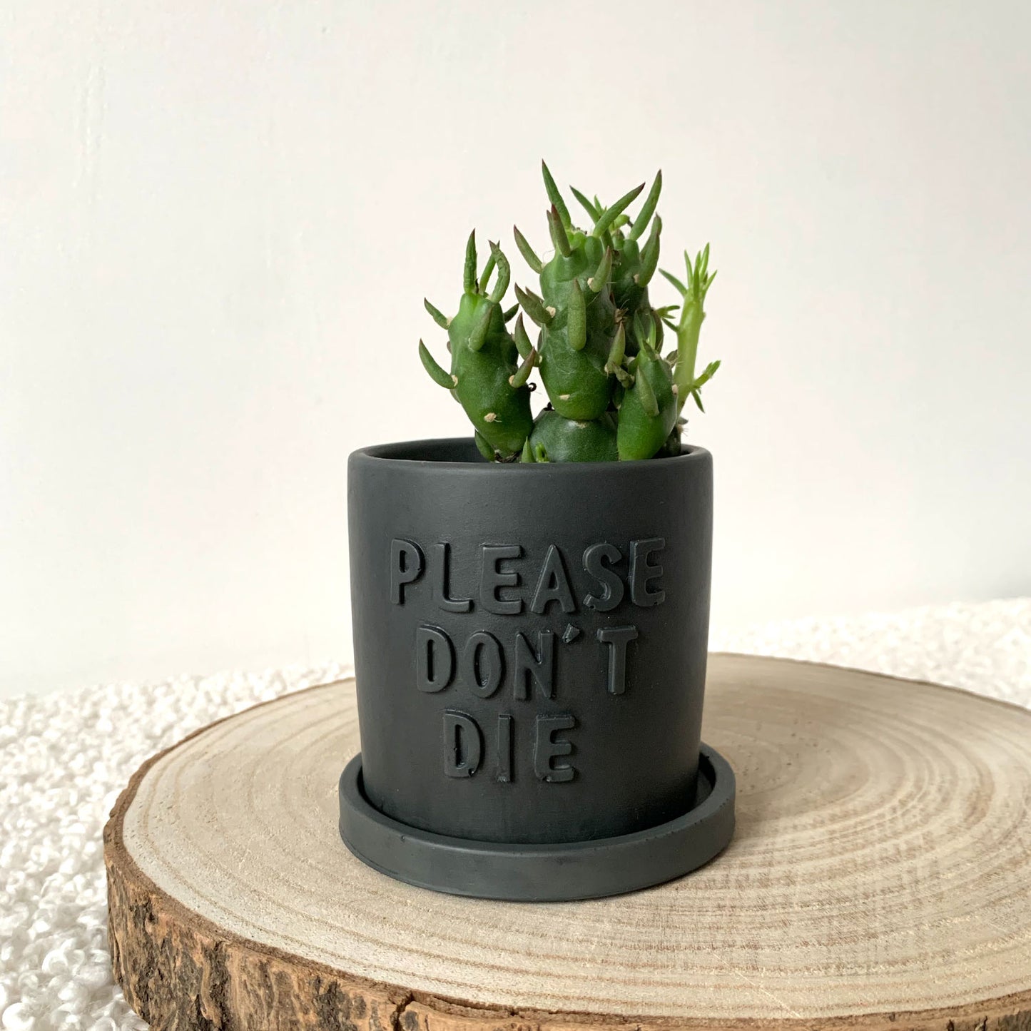 Cache pot jesmonite "Please don't Die" avec soucoupe Iris Gris anthracite