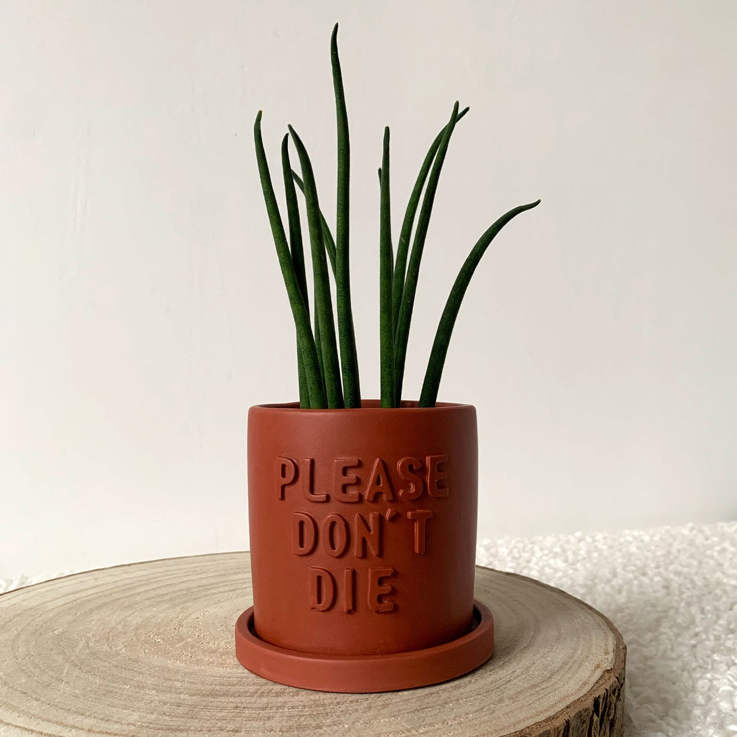 Cache-pot avec soucoupe fait à la main Iris "Please don't Die" Terracotta