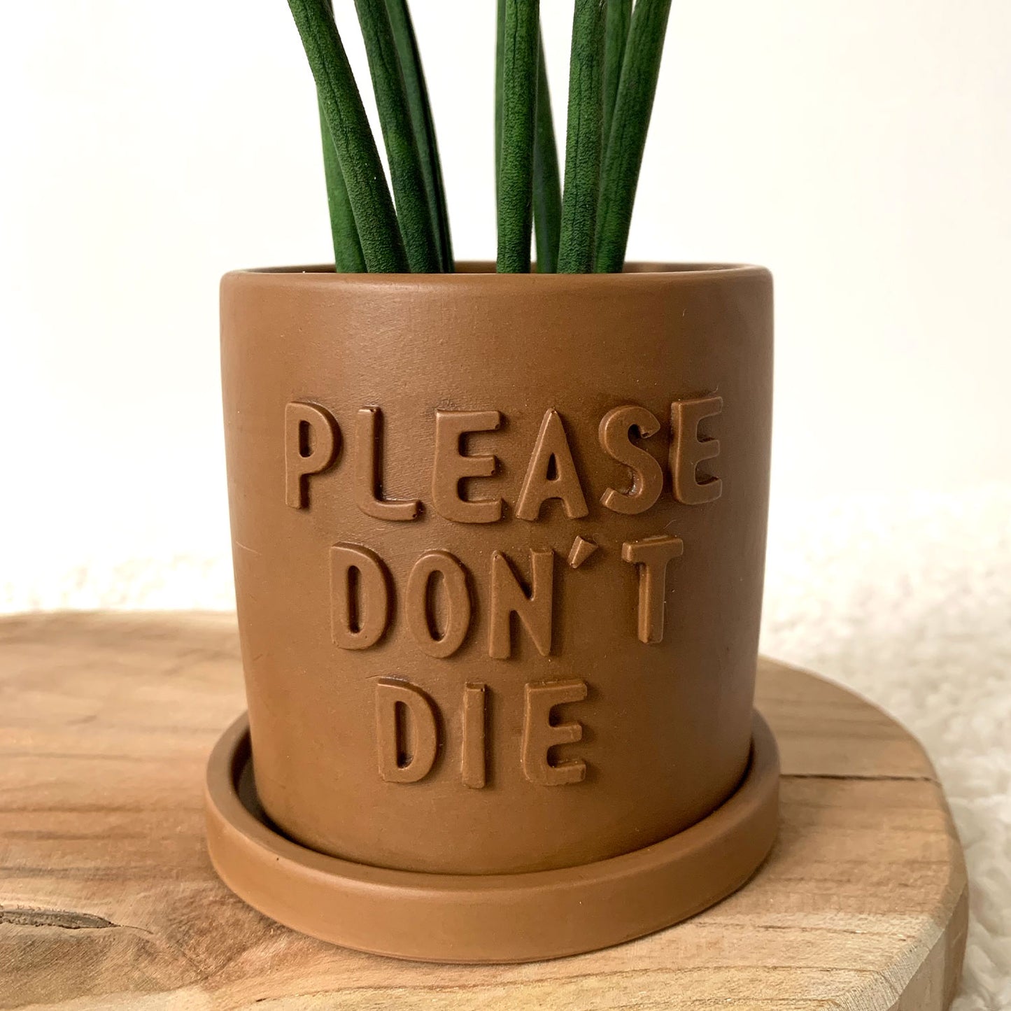 Cache-pot jesmonite "Please don't Die" Iris avec soucoupe Marron