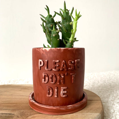 Cache-pot terracotta marbre fait à la main Iris "Please don't Die"