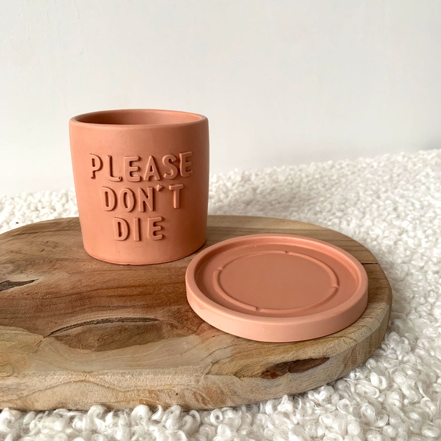 Cache-pot "Please don't Die" fait main jesmonite avec soucoupe Iris Rose clair