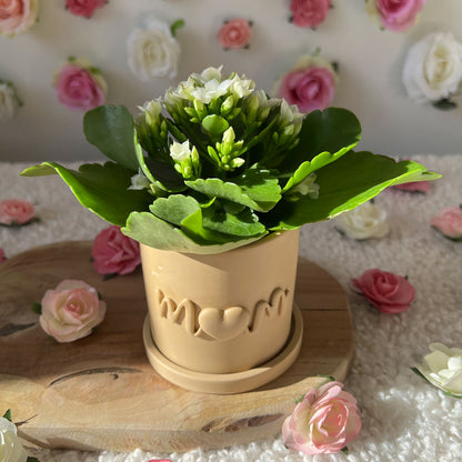 Cache pot fait main Maman "Mom" beige