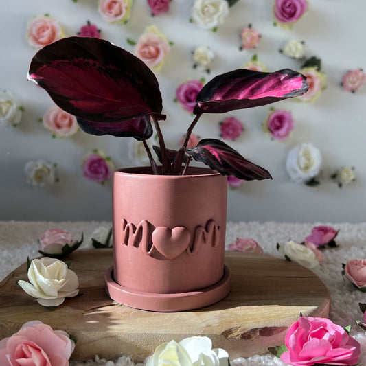 Cache pot fait main Maman "Mom" Prune