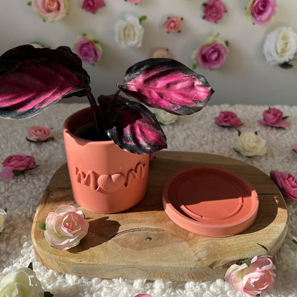 Pot fleur Maman fait main "Mom" Rose