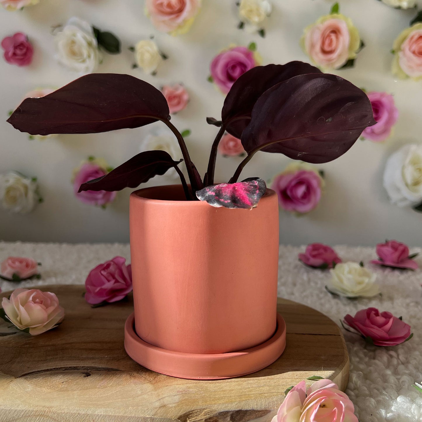 Pot fleur Maman fait main "Mom" Rose