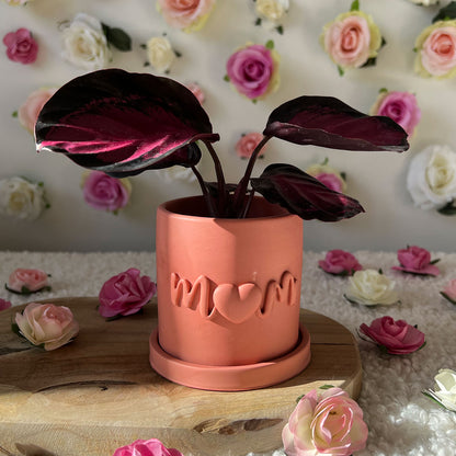 Pot fleur Maman fait main "Mom" Rose